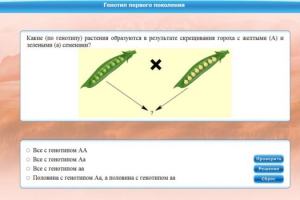 Интерактивные курсы. Биология 11 класс. Базовый. - fgospostavki.ru - Артёмовский
