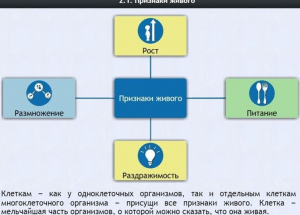 Интерактивные курсы. Биология 5 класс. Базовый - fgospostavki.ru - Артёмовский