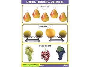 Таблица демонстрационная "Считаем, взвешиваем, сравниваем" (винил 70x100) - fgospostavki.ru - Артёмовский