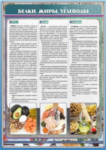 Стенд "Белки. Жиры. Углеводы" - fgospostavki.ru - Артёмовский