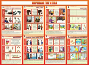 Стенд "Личная гигиена" - fgospostavki.ru - Артёмовский