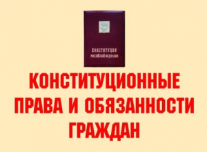 Комплект плакатов "Конституционные права и обязанности граждан" - fgospostavki.ru - Артёмовский
