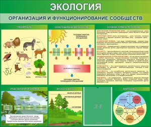 Стенд "Экология. Организация и функционирование сообществ" - fgospostavki.ru - Артёмовский