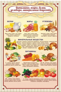 Стенд "Витамины, жиры, белки" - fgospostavki.ru - Артёмовский