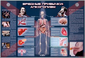 Электрифицированный стенд "Вредные привычки: алкоголизм" - fgospostavki.ru - Артёмовский