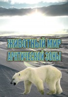 DVD "Животный мир Арктической зоны" - fgospostavki.ru - Артёмовский