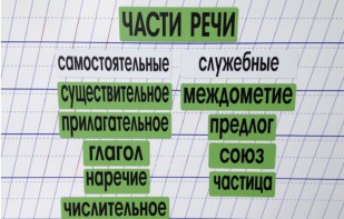 Набор магнитных карточек "Части речи" (фон зелёный) - fgospostavki.ru - Артёмовский