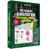 Наглядная биология. 6 класс. Растения. Грибы. Бактерии - fgospostavki.ru - Артёмовский