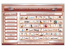 Трехсекционный базовый комплект "Травмы. Кровотечения. Ожоги" для учащихся общеобразовательных учреждений - fgospostavki.ru - Артёмовский