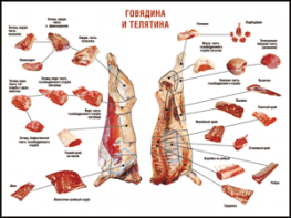 Таблица "Правила разделки мясных туш. Говядина и телятина" (100х140 сантиметров, винил) - fgospostavki.ru - Артёмовский