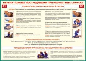 Таблица "Порядок действий при внезапной смерти" (100х140 сантиметров, винил) - fgospostavki.ru - Артёмовский