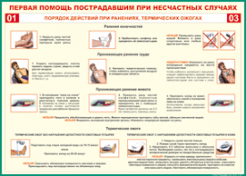 Таблица "Порядок действий при ранениях и термических ожогах" (100х140 сантиметров, винил) - fgospostavki.ru - Артёмовский
