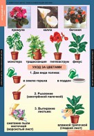 Комплект таблиц. Окружающий мир 1 класс. - fgospostavki.ru - Артёмовский