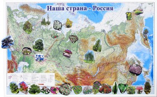 Магнитные карточки "Растения" - fgospostavki.ru - Артёмовский