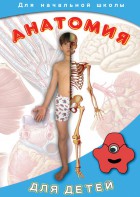 DVD "Анатомия для детей" - fgospostavki.ru - Артёмовский