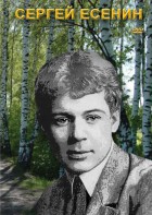 DVD "Сергей Есенин" - fgospostavki.ru - Артёмовский