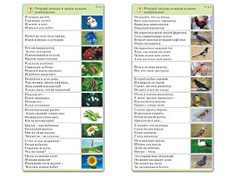Комплект карточек (10) "Обучающий калейдоскоп. Природа" - fgospostavki.ru - Артёмовский