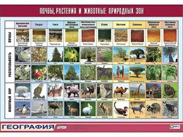 Таблица демонстрационная "Почвы, растения и животные природных зон" (винил 70*100) - fgospostavki.ru - Артёмовский