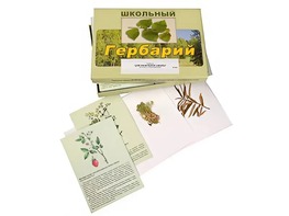 Гербарий "Для начальной школы" (30 видов, с иллюстрациями) - fgospostavki.ru - Артёмовский
