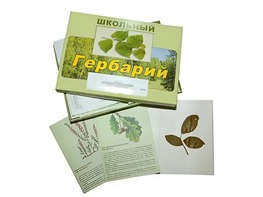 Гербарий "Дикорастущие растения" (30 видов, с иллюстрациями) - fgospostavki.ru - Артёмовский