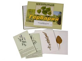 Гербарий "Лекарственные растения" (22 вида с иллюстрациями) - fgospostavki.ru - Артёмовский