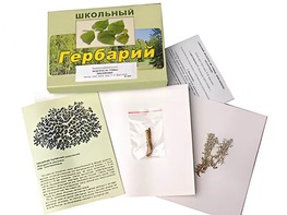 Гербарий "Водоросли. Грибы. Лишайники" (раздаточный) - fgospostavki.ru - Артёмовский