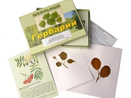 Гербарий "Систематика растений. Семейство Розоцветные" (раздаточный) - fgospostavki.ru - Артёмовский