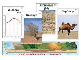 Модель-аппликация "Природные зоны" - fgospostavki.ru - Артёмовский