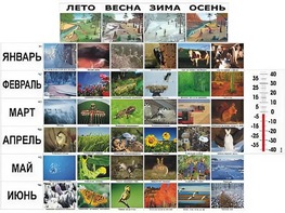 Фенологические наблюдения - fgospostavki.ru - Артёмовский