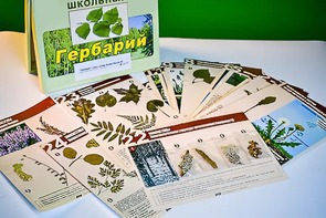 Гербарий к курсу основ общей биологии - fgospostavki.ru - Артёмовский