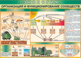 Таблица "Организация и функционирование сообществ" (100х140 сантиметров, винил) - fgospostavki.ru - Артёмовский