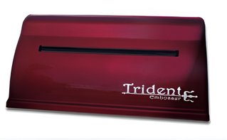 Принтер для печати рельефно-точечным шрифтом Брайля Trident - fgospostavki.ru - Артёмовский