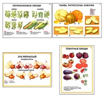 Плакаты ПРОФТЕХ "Ассортимент овощных культур" (12 пл, винил, 70х100) - fgospostavki.ru - Артёмовский