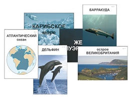 Модель-аппликация "Океаны. Знакомство" (ламинированная) - fgospostavki.ru - Артёмовский