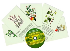 Интерактивный наглядный комплекс "Гербарий "Для начальной школы" - fgospostavki.ru - Артёмовский