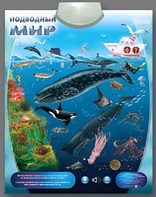 Озвученный плакат "Подводный мир" - fgospostavki.ru - Артёмовский