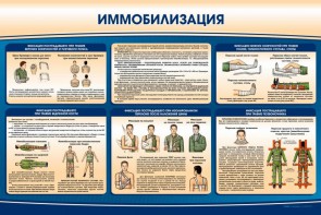 Стенд "Иммобилизация" - fgospostavki.ru - Артёмовский