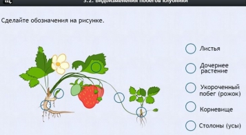 Интерактивные курсы. Биология 7 класс. Расширенный. - fgospostavki.ru - Артёмовский
