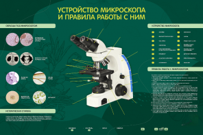 Электрифицированный стенд "Устройство микроскопа и правила работы c ним" - fgospostavki.ru - Артёмовский