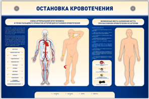 Электрифицированный стенд-тренажер "Остановка кровотечения" - fgospostavki.ru - Артёмовский