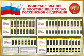 Стенд "Воинские звания в вооруженных силах РФ" - fgospostavki.ru - Артёмовский