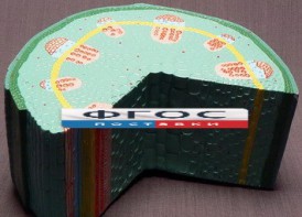 Модель "Стебель растения" - fgospostavki.ru - Артёмовский