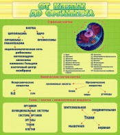 Стенд "От клетки до организма" - fgospostavki.ru - Артёмовский
