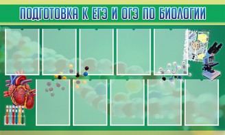 Стенд "Подготовка к ЕГЭ и ОГЭ по биологии" Вариант 2 - fgospostavki.ru - Артёмовский