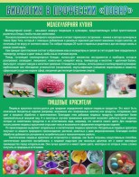 Стенд "Биология в профессии "повар"" - fgospostavki.ru - Артёмовский
