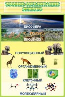 Стенд "Уровни организации живого" - fgospostavki.ru - Артёмовский