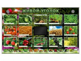 Комплект оборудования "Живой уголок" (растения) - fgospostavki.ru - Артёмовский