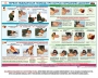 Комплект плакатов "Оказание первой доврачебной медицинской помощи" - fgospostavki.ru - Артёмовский