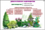 Комплект кодотранспарантов "Культурные растения" - fgospostavki.ru - Артёмовский