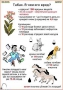 Комплект кодотранспарантов "Ядовитые растения" - fgospostavki.ru - Артёмовский
